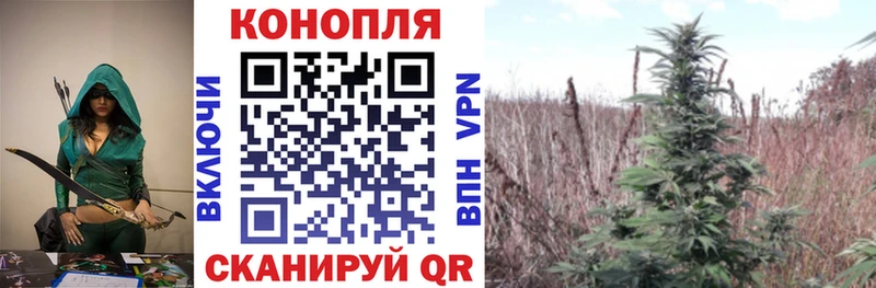 купить  цена  Плёс  Канабис MAZAR 